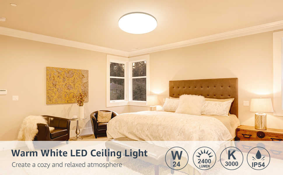 Warm white deals ceiling light